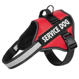 Pet accessories